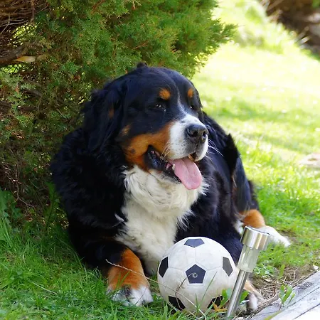 U Gorali Accommodatie bij particulieren