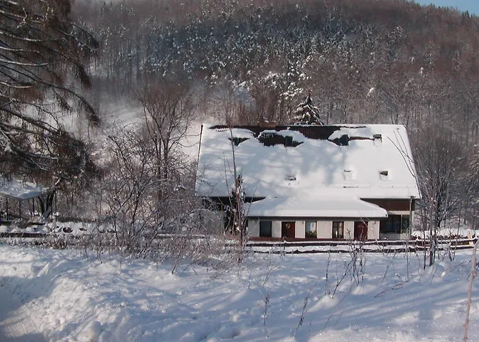 Проживание в семье U Gorali