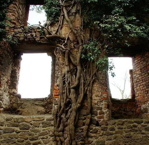 U Gorali Проживание в семье Jagniatkow