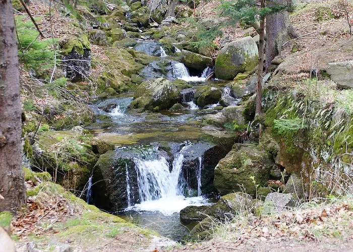 Проживание в семье U Gorali